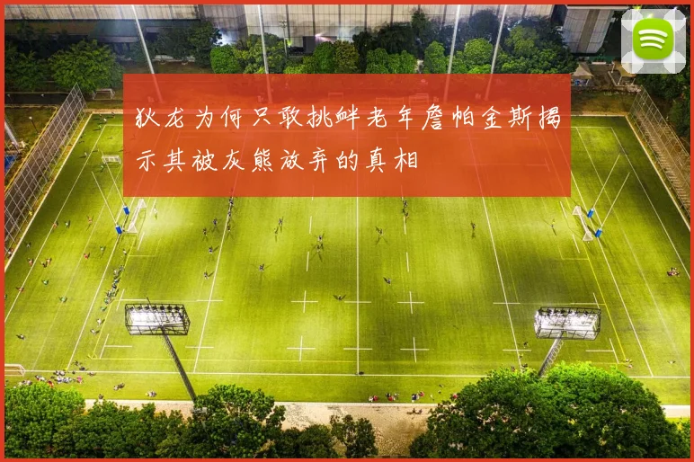 狄龙为何只敢挑衅老年詹帕金斯揭示其被灰熊放弃的真相