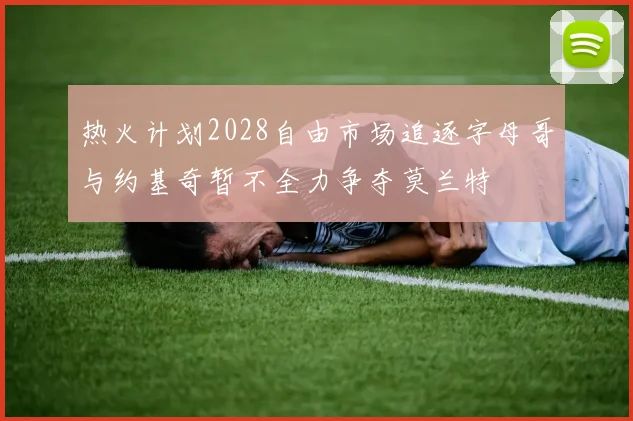 热火计划2028自由市场追逐字母哥与约基奇暂不全力争夺莫兰特