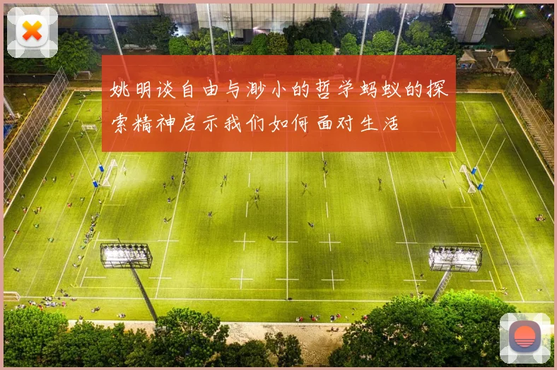 姚明谈自由与渺小的哲学蚂蚁的探索精神启示我们如何面对生活